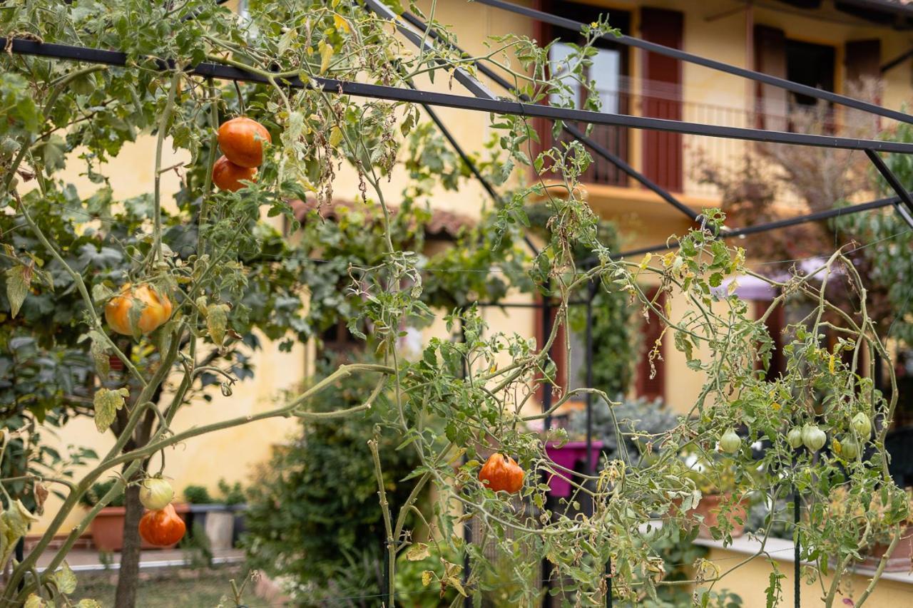 La Valle B&B อัสตี ภายนอก รูปภาพ